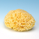 �l�CNo.2 �V�R�C�ȃX�|���W�@�n�j�R����k�T�C�Y
