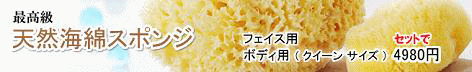 �V�R�C�ȃo�i�[