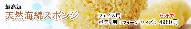 ���Ԍ���L�����y�[���̂��m�点