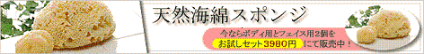 �V�R�C�ȃo�i�[