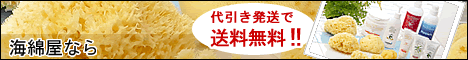 ���������o�i�[