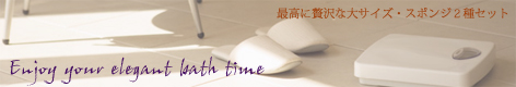 �ō����N�B�[���T�C�Y�������Z�b�g